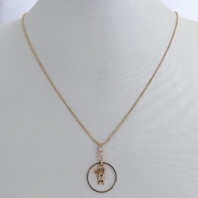 Co Mini Bolinhas Pingente Circulo Menino Zircônia-45cm