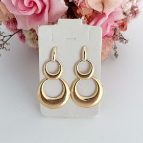 Brinco Círculos Vazados-4cm